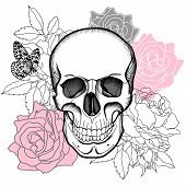 Human Skull, Rose Vector & Photo (Free Trial) | Bigstock