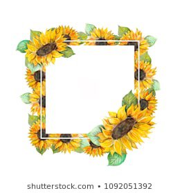 Sunflower Border  Images