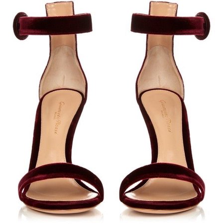 velvet gianvito rossi shoes
