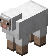 Sheep – Minecraft