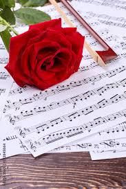 music notes and roses images - Google Search