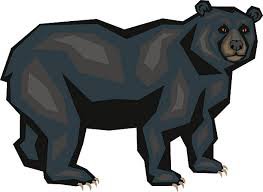 black bear cartoon