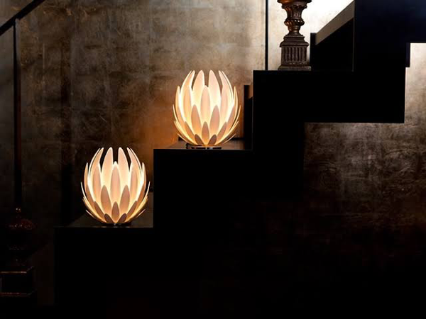 lily lamps indoor