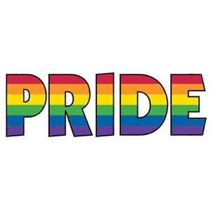 Pride Shack -Gay Pride Car Bumper Sticker Decal Rainbow Pride LGBT Gay & Lesbian