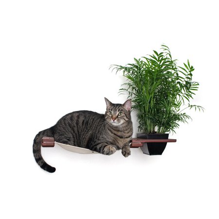 Tucker Murphy Pet 3" Bastien Planter Lounge Handcrafted Cat Perch | Wayfair.ca