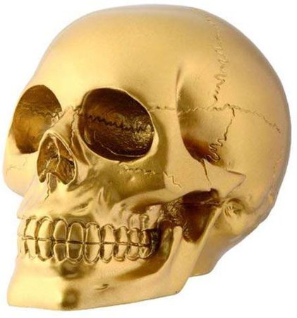 StealStreet Gold Skull Head Collectible Skeleton Decoration Figurine: Amazon.ca: Home & Kitchen