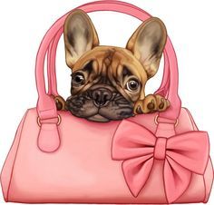 dog purse