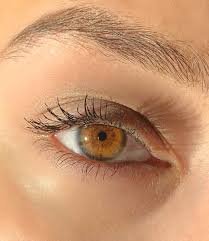 golden brown eyes - Google Search