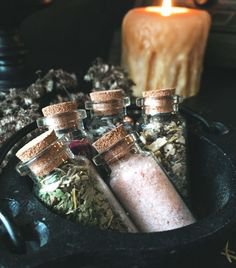herbalist house home office herbology apothecary modern witch vibes