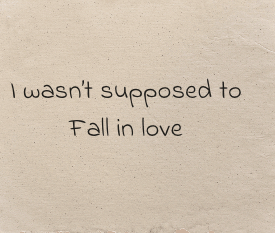 I wasn’t supposed to fall in love