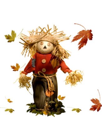 scarecrow leaves png filler autumn