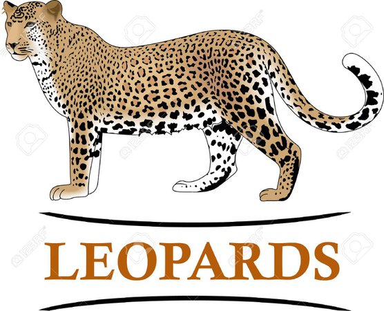 leopard words - Google Search