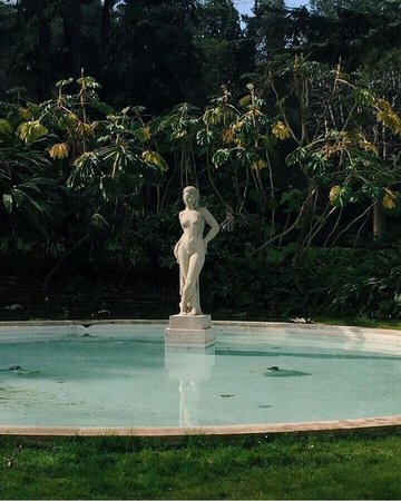 pool aesthetic