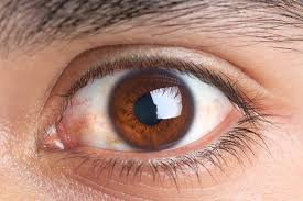 brown eyes - Google Search