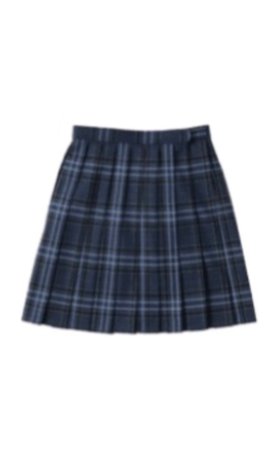 navy blue skirt