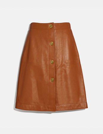 Coach skirt