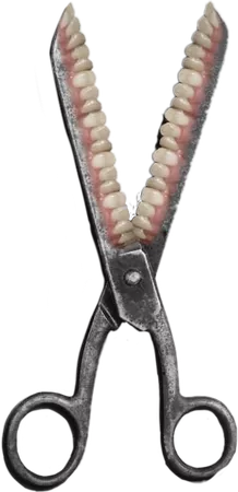 scissors with teeth