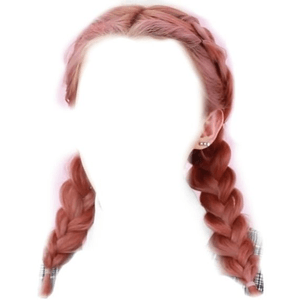 Pink Hair PNG Twin Braids