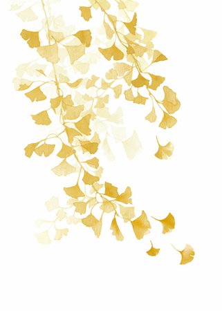 Yellow Watercolor Painting Ginkgo Leaves With Branch Wall Art