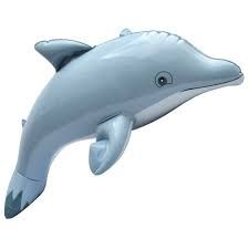 inflatable dolphin - Google Search