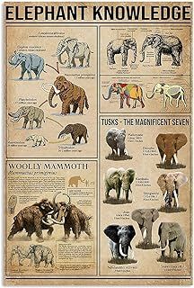 Amazon.com : Zoo sign elephant