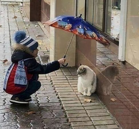 Little Girl Holding Umbrella for Dog