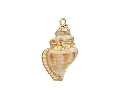 Light Brown Conch Shell Pendant w/ Gold Finish 12-17x24-30mm - Lima Beads