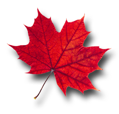 Maple Leaf PNG Pic | PNG Mart