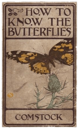 butterfly book