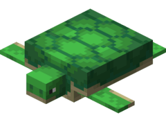 Turtle – Minecraft