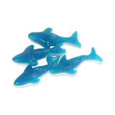 Blue Gummy Shark 5lb photo on polyvore