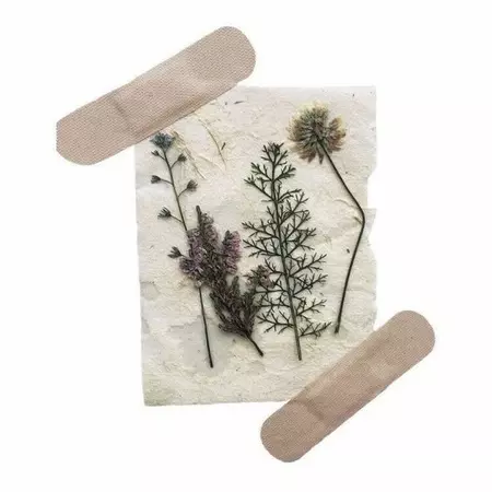 herbs sticker