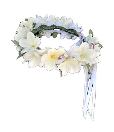 Heidi Lynne | Wedding Flower Crown With Real Touch Tropical Flowers