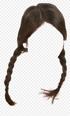 pigtail braids 1