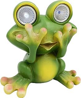 Amazon.com: Frog Decor