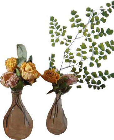 flower vases