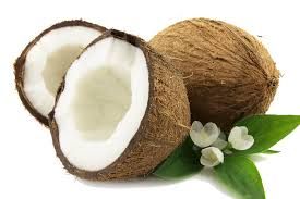 real coconut png - Google Search