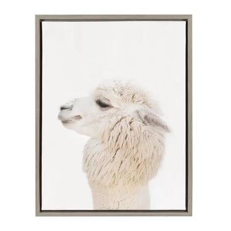 Kate & Laurel 24"x18" Sylvie Studio Alpaca Animal Print Portrait By Amy Peterson Framed Wall Canvas Gray : Target