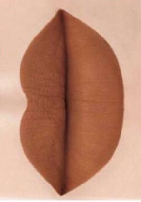 brown nude lipstick