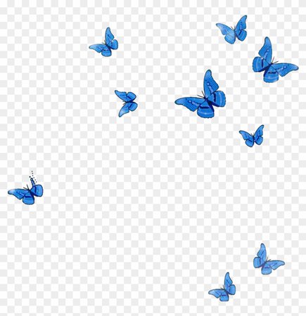 #mq #blue #butterfly #animal #flying #fall - Swallowtail Butterfly, HD Png Download - 1024x1024(#5866583) - PngFind