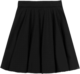 School skirt