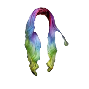 Rainbow Hair PNG