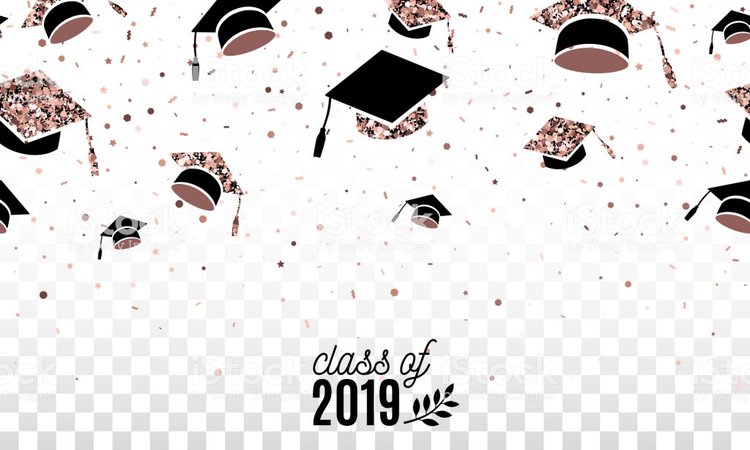 Graduate Class Off 2019 Banner With Rose Gold Hats Thrown Up On The Air On Checkered Transparent Background Festive Vector Illustration With Confetti Seamless Border On Horizontal Isolated Stock Vector Art & More Images of 2019 - iStock