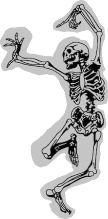 skeleton 1