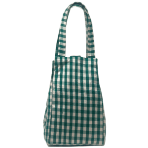 Gingham Teal – COMING OF AGE