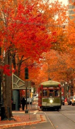 Autumn in the city | Autumn scenery, Fall pictures, Autumn scenes