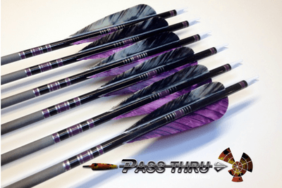 Purple Carbon Arrows
