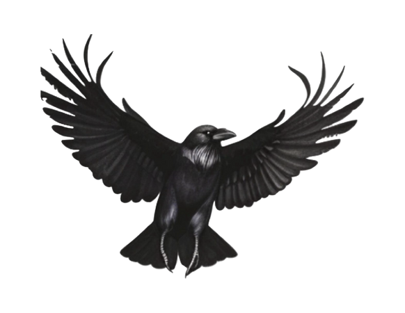 black raven set 1
