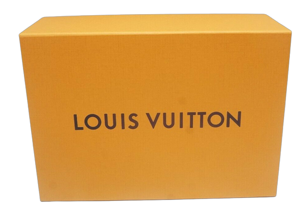 Louis Vuitton shoe box