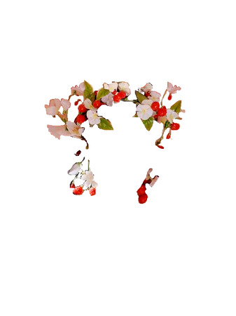 Yeri Feel My Rhythm Headpiece Strawberry Flower Crown (Dei5 edit)